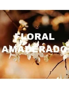 VismarEssence 066 Ambientador Pulverizable (4 Litros)