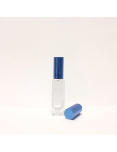 1 Stück Leer Flasche Auto Belüftungsöffnung Clip-on Aromatherapie Diffusor  für Duft Öl Parfüm