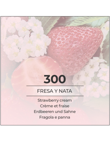 VismarEssence 300 Erdbeeren und Sahne Parfüm - 500ml