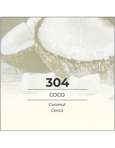 VismarEssence 304 Coconut Perfume - 1000ml