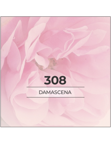 VismarEssence 308 Damascena - 1000ml