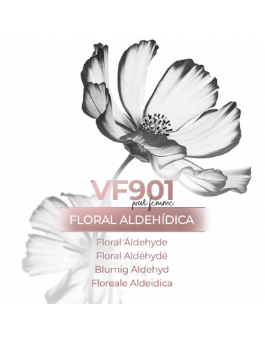 Parfum de niche exclusif VismarEssence VF901 500 générique
