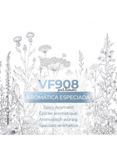 Exclusivo perfume de nicho a granel VismarEssence VF908 1000 ml