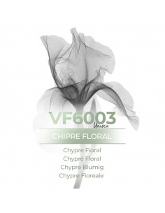 Perfume al por mayor - VismarEssence VF6003