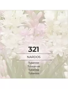 VismarEssence VF321 Nardos...