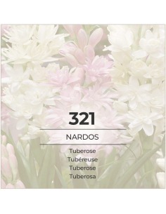 VismarEssence VF321...