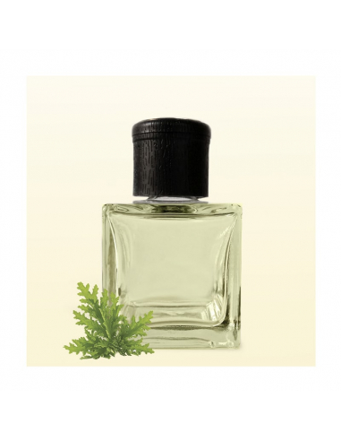 Reed Diffuser Insect Repellent 1000 ml - Room diffuser - Air Freshener