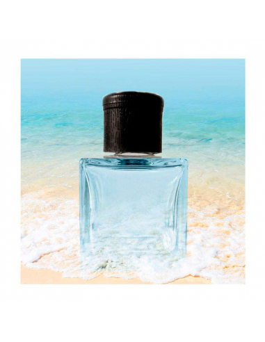 Reed Diffuser Ocean 500 ml - Air freshener - Bulk perfumes