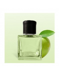 014. Diffuseur de Parfum...