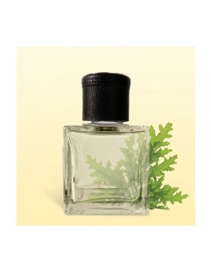 056. Citronella Reed...