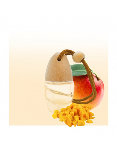 Ambientador de coche Mango 1000 ml - Perfumes a granel - Vismaressence