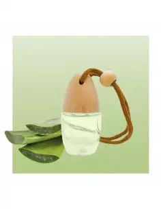 Ambientador de coche Aloe Vera 1000 ml-Fabricante de perfumes a granel
