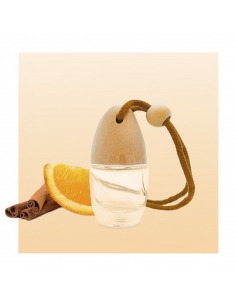 Deodorante per auto Cannella e Arancia 1000 ml - Profumi alla spina