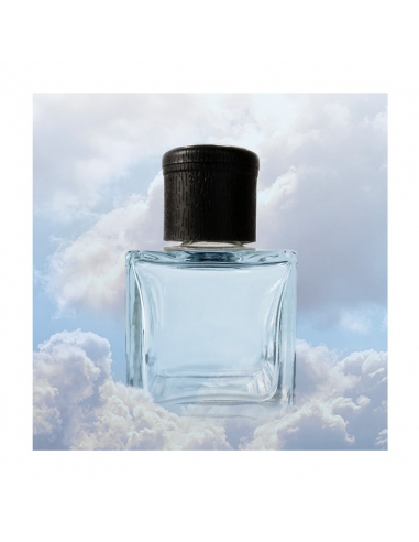 053.Diffuseur de Parfum «air frais» - 1000ml