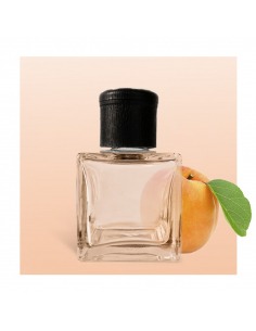 Reed Diffuser Apricot 1000 ml - Air Freshener - Bulk Perfumes