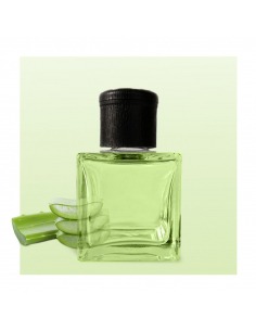 Reed Diffuser Aloe Vera 500 ml - Vismaressence - Perfume Factory