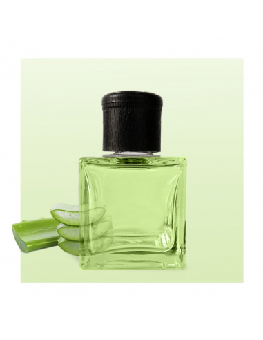 Diffuseur de parfum Aloe Vera 500 ml - Parfum maison - Parfum en vrac
