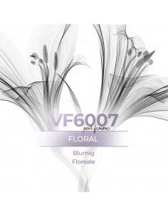 Vismaressence VF6007 - 1000ml- Perfumes a granel