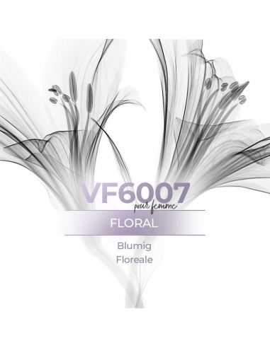 Parfum Factory - VismarEssence VF6007