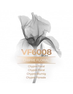 VismarEssence VF6008 - Perfume al por mayor.