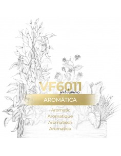 Perfume a granel - Vismaressence VF6011 500ml