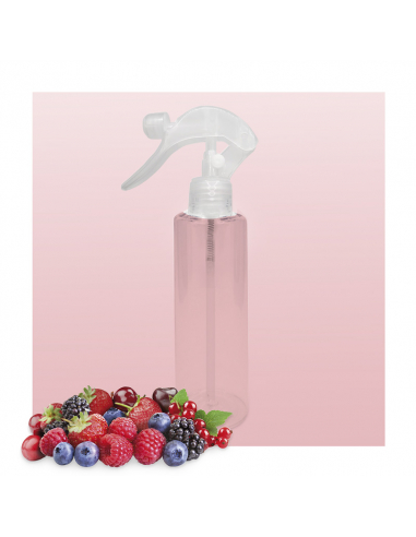 Red Berries Air Freshener for Home