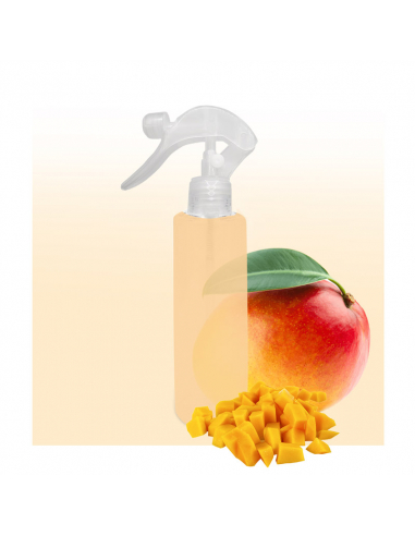 Mango Air Freshener for Home