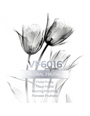 Vismaressence VF6016 1000ml - Bulk perfume - Perfume manufacturers.