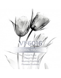 Vismaressence VF6016 500ml - Fabricantes de Perfumes a granel.