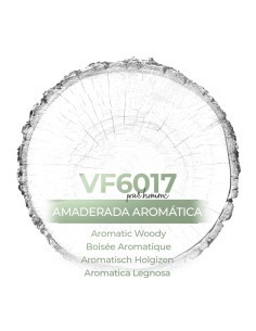 Vismaressence VF6017 1000ml - Perfumes a granel - Fábrica de Perfumes.