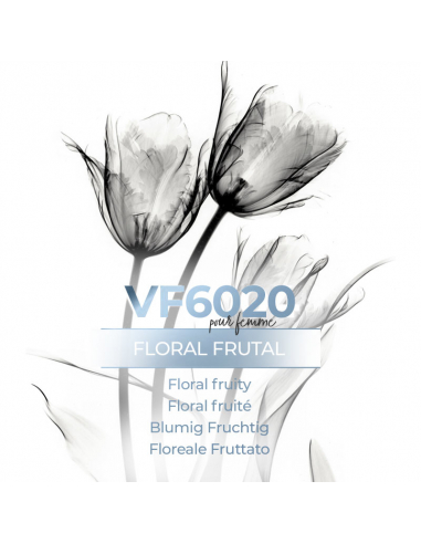 Vismaressence VF6020 1000ml-Bulk Perfumes Factory-Perfume manufacturer