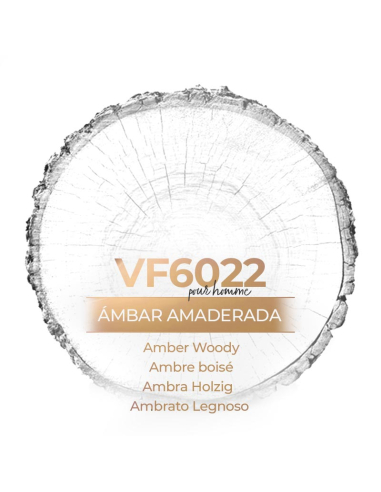 Vismaressence VF6022 500ml -Exclusive Fragrance- Perfume manufacturers