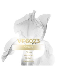 Vismaressence VF6023 1000ml - Perfumes exclusivos - Perfumes a Granel.