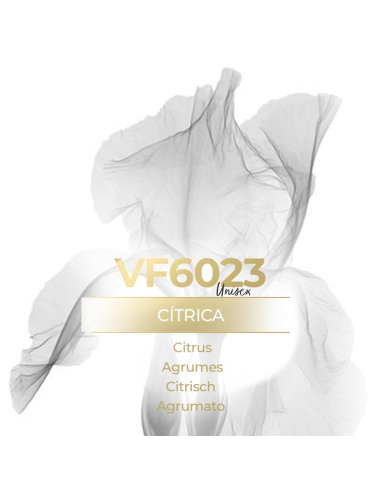 Vismaressence VF6023 500ml - Fabricants de parfum en vrac - génériques