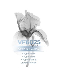 Vismaressence VF6025 1000ml - Fabricantes de Perfumes a granel.