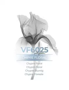 Vismaressence VF6025 1000ml - Fabricantes de Perfumes a granel.