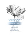 VismarEssence VF6030 1000ml -Parfum en vrac génériques