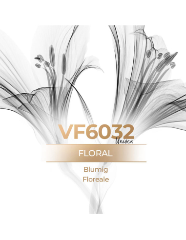 Vismaressence VF6032 1000ml - Produttori di profumi alla spina.