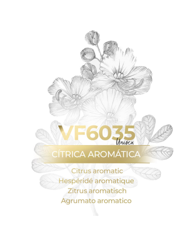 Vismaressence VF6035 - 500ml - Perfume manufacturers -  Lime Basil y Mandarin Jo Malone