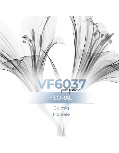 Vismaressence VF6037 1000ml -Exclusive Fragrance- Perfume manufacturer