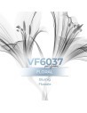 Similar Perfume - VismarEssence VF6037