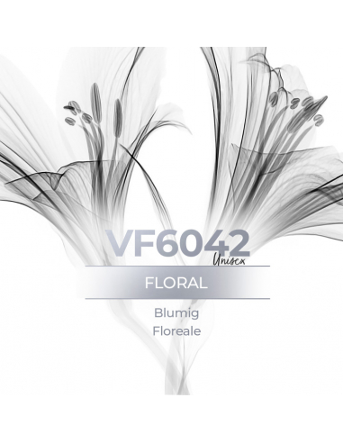 Vismaressence VF6042 1000ml -Exclusive Fragrance-Perfume manufacturers