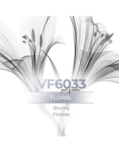 Vismaressence VF6033 500ml - Fabricants de parfum en vrac - génériques