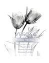 Similar Perfume - VismarEssence VF6044.