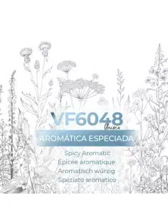 Vismaressence VF6048 1000ml -Fábricantes de perfumes-Perfumes a granel