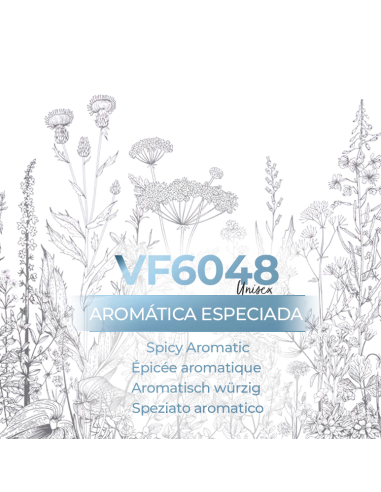 Vismaressence VF6048 500ml-Bulk perfume-Exclusive Perfume Manufacturer