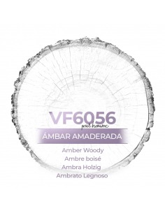 Perfume a granel para hombre - VismarEssence VF6056