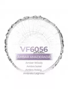 Perfume a granel para hombre - VismarEssence VF6056
