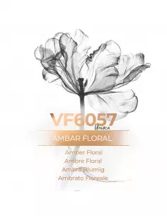 Perfume a granel para hombres y mujeres - VF6057 - VismarEssence