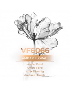 Vismaressence VF6066 1000ml - Fabrica de perfumes - Perfumes a granel.